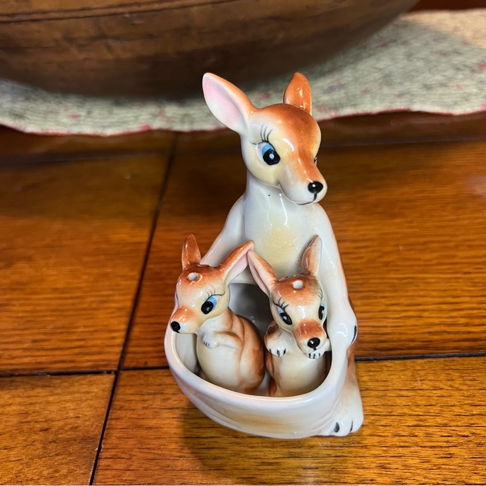 Kangaroo with Joeys salt and pepper shakers